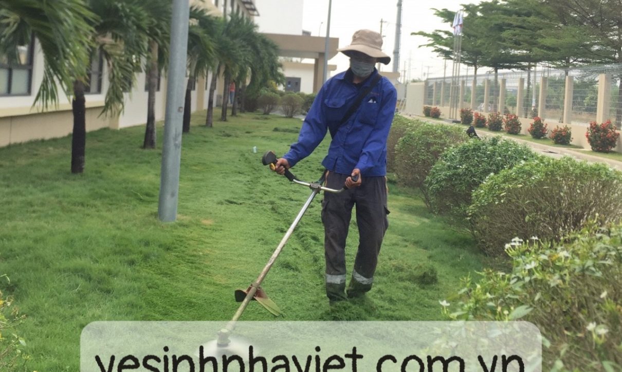 dịch vụ phát hoang cắt cỏ sân vườn